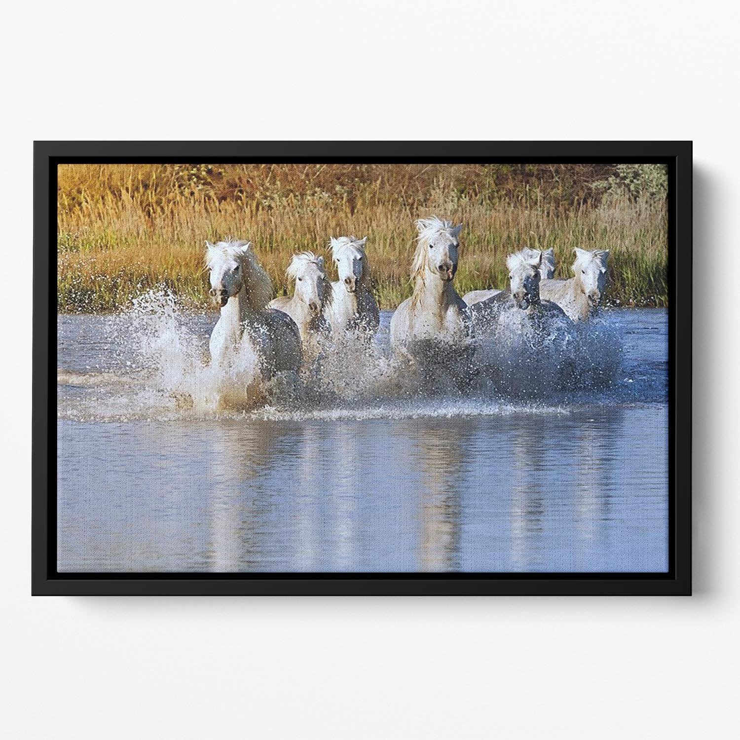 Heard of White Horses Running and splashing Floating Framed Canvas - Canvas Art Rocks - 2