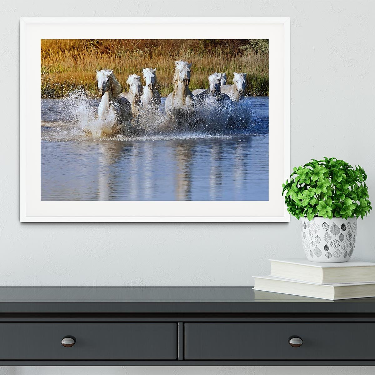 Heard of White Horses Running and splashing Framed Print - Canvas Art Rocks - 5
