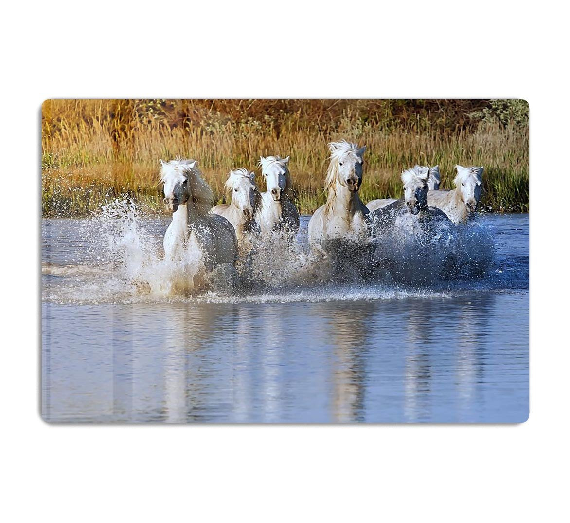 Heard of White Horses Running and splashing HD Metal Print - Canvas Art Rocks - 1