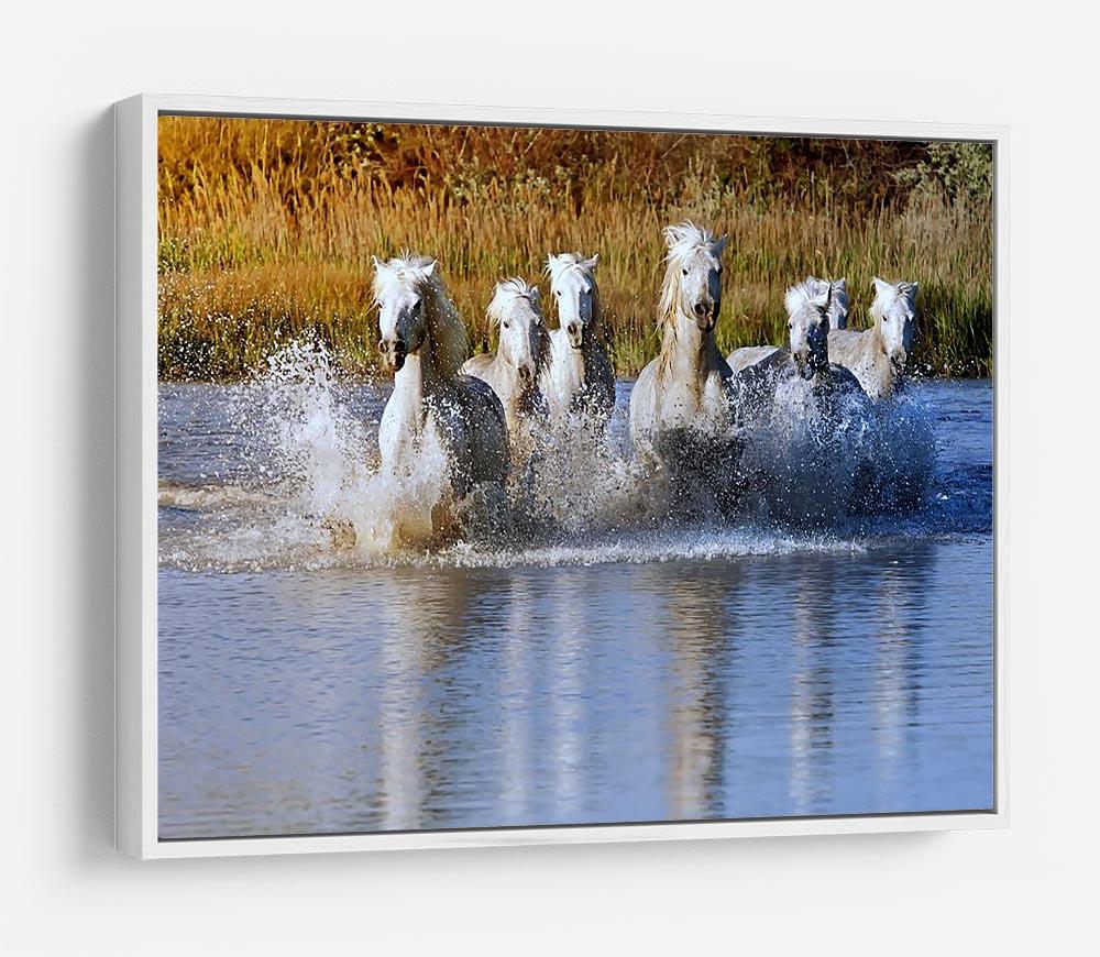 Heard of White Horses Running and splashing HD Metal Print - Canvas Art Rocks - 7