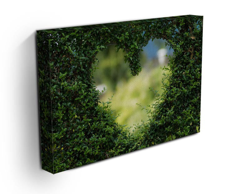 Encarved Heart In Bush Print - Canvas Art Rocks - 3