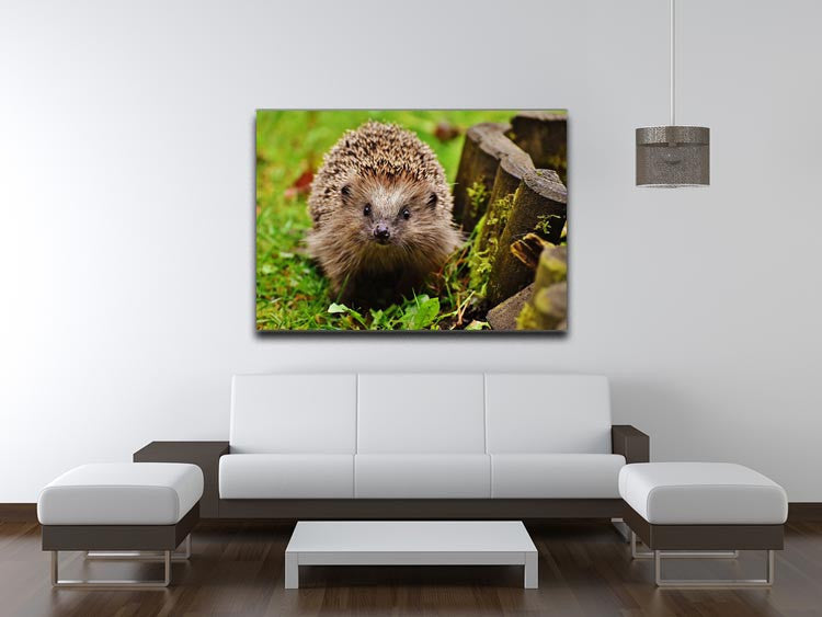 Hedgehog Print - Canvas Art Rocks - 4