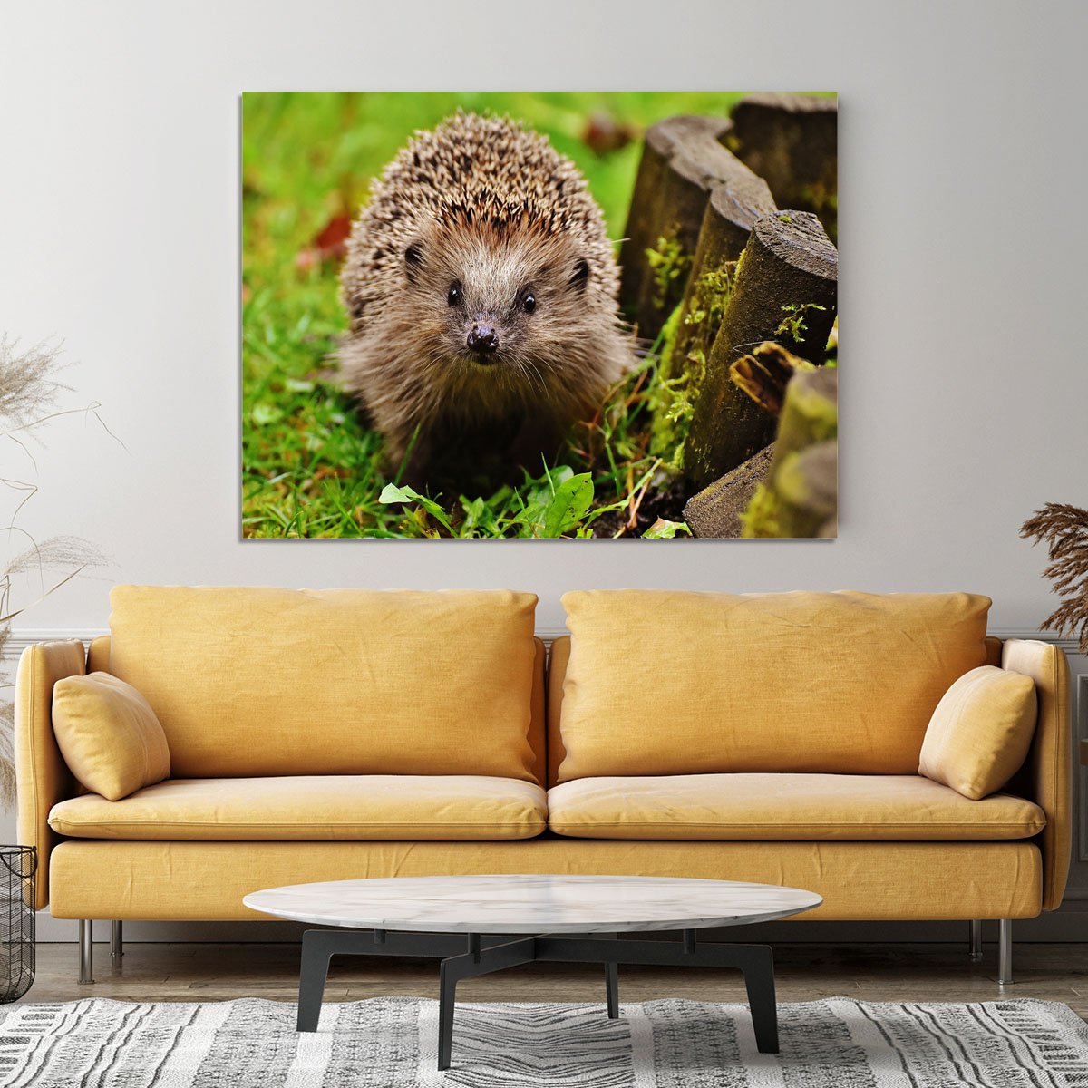 Hedgehog Canvas Print or Poster