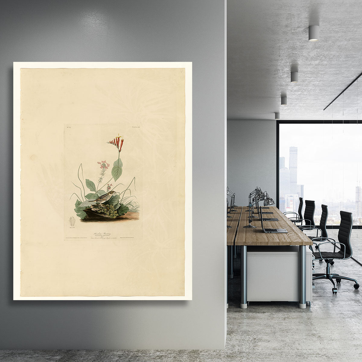 Henslows Bunting by Audubon Canvas Print or Poster - Canvas Art Rocks - 3