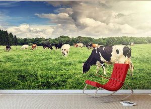 Herd of cows grazing at summer green field Wall Mural Wallpaper - Canvas Art Rocks - 2