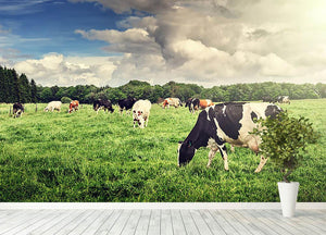 Herd of cows grazing at summer green field Wall Mural Wallpaper - Canvas Art Rocks - 4