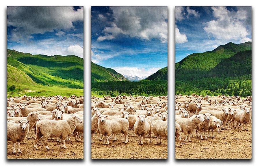 Herd of sheep 3 Split Panel Canvas Print - Canvas Art Rocks - 1