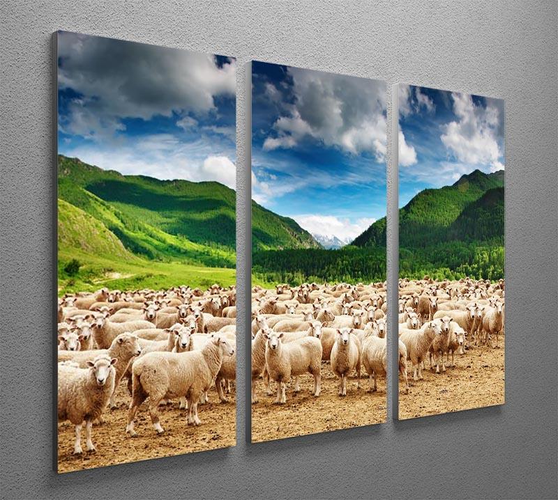 Herd of sheep 3 Split Panel Canvas Print - Canvas Art Rocks - 2