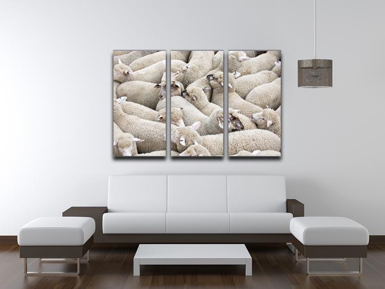 Herd of sheep on a truck 3 Split Panel Canvas Print - Canvas Art Rocks - 3