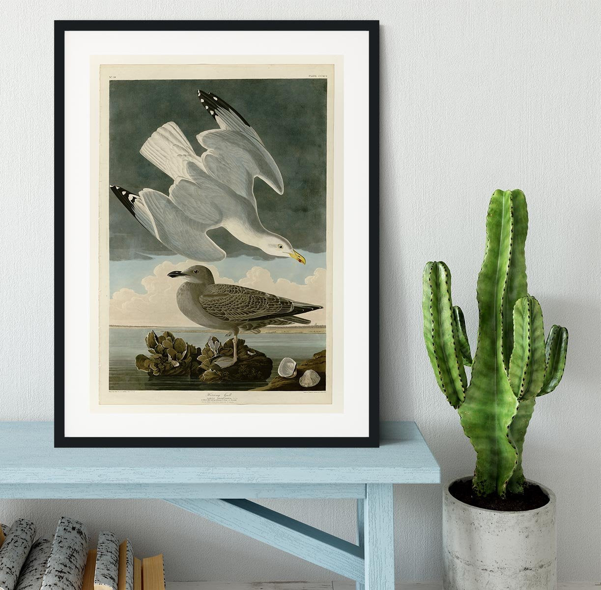 Herring Gull by Audubon Framed Print - Canvas Art Rocks - 1