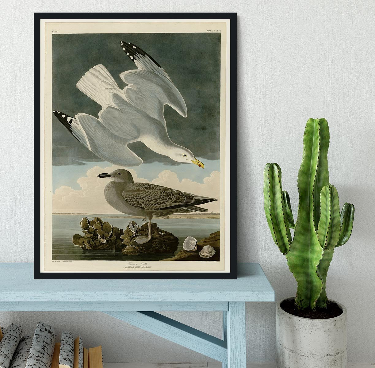 Herring Gull by Audubon Framed Print - Canvas Art Rocks - 2