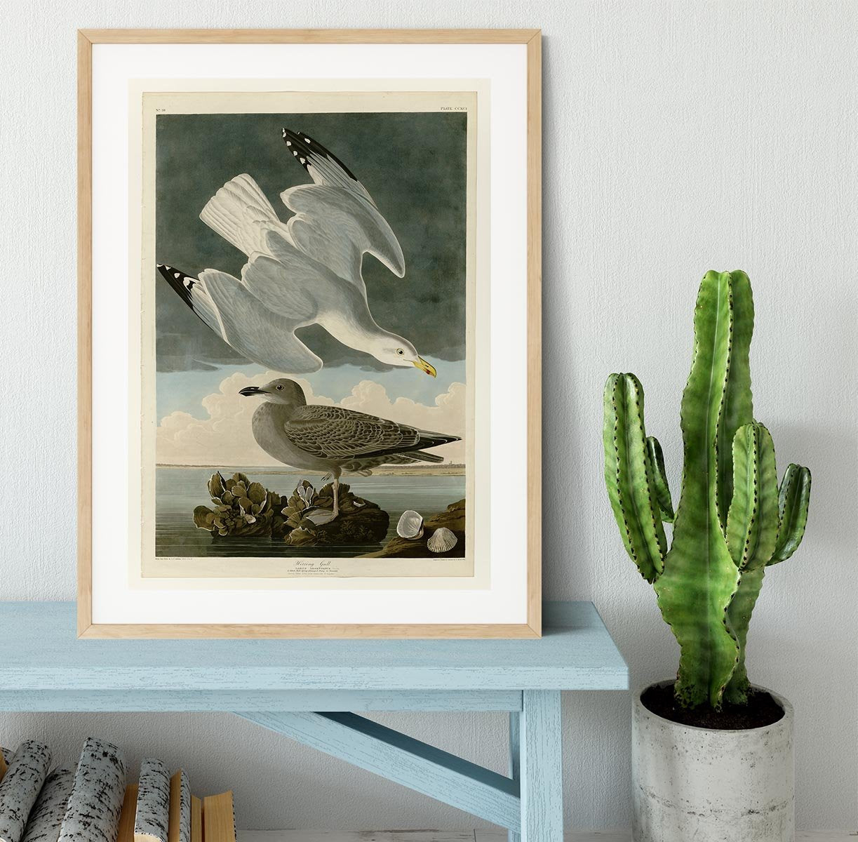 Herring Gull by Audubon Framed Print - Canvas Art Rocks - 3