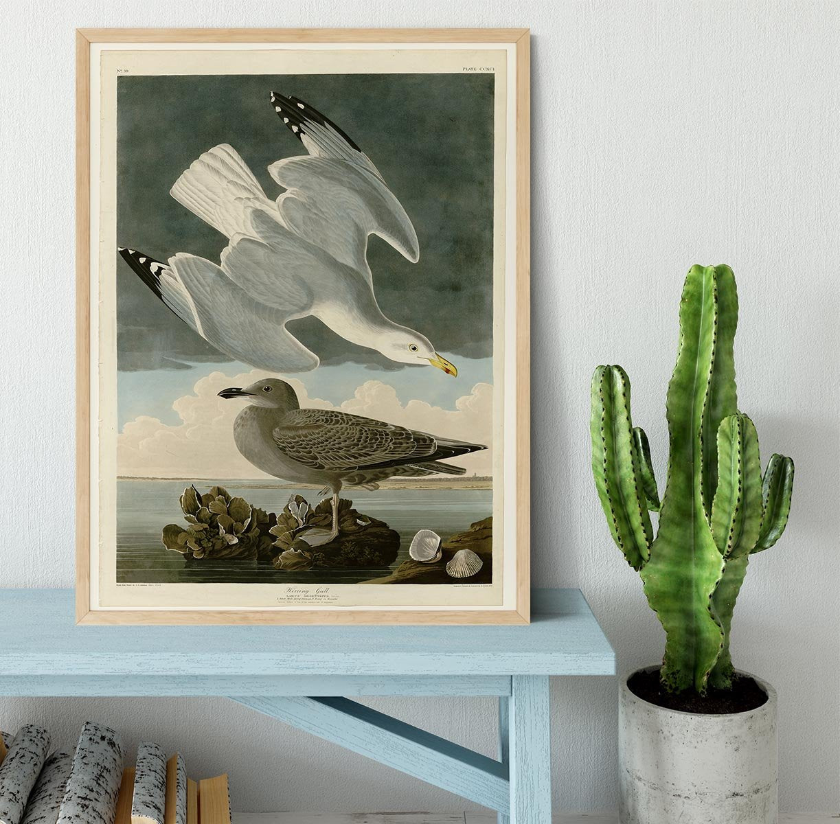 Herring Gull by Audubon Framed Print - Canvas Art Rocks - 4