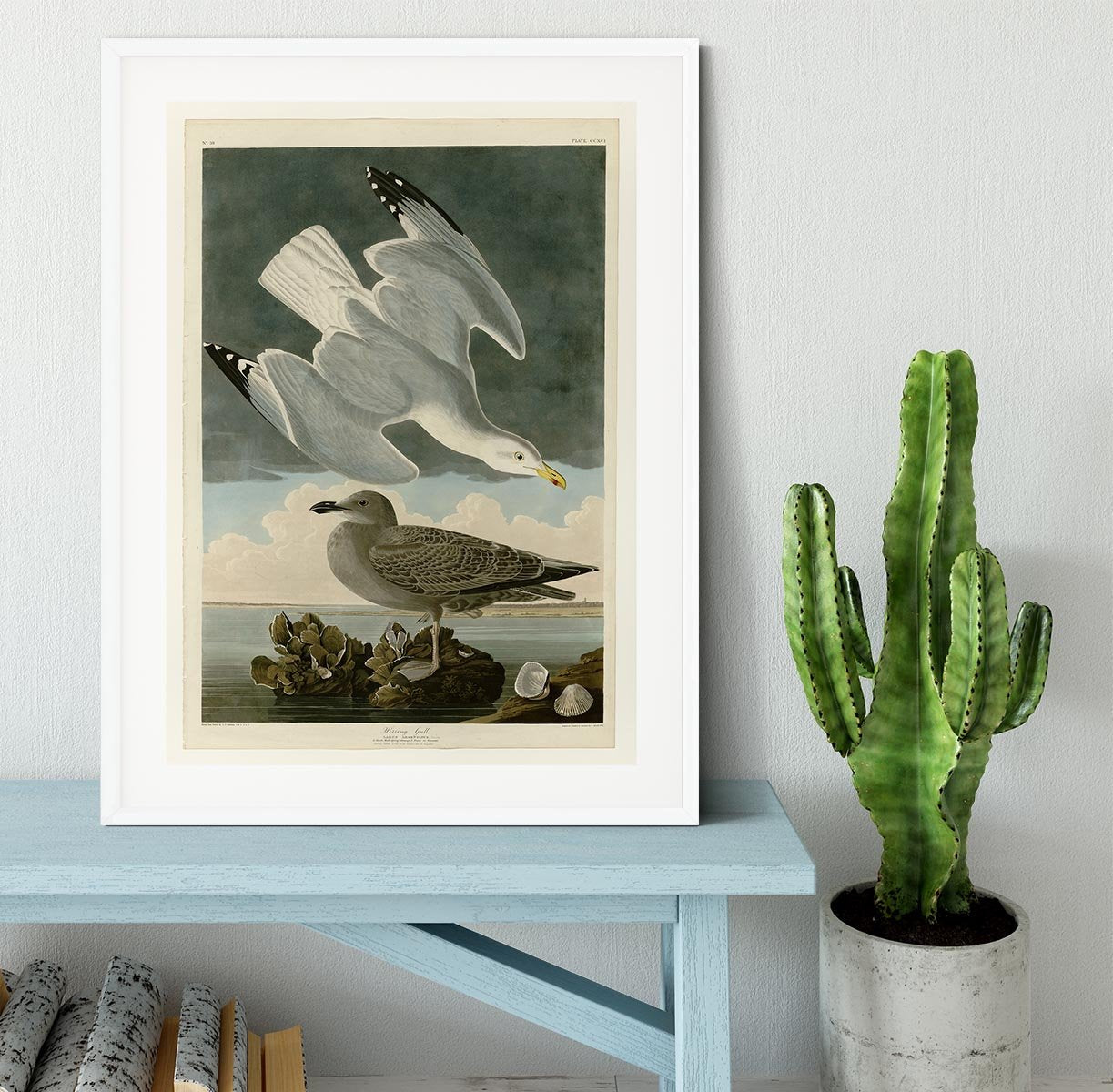 Herring Gull by Audubon Framed Print - Canvas Art Rocks - 5