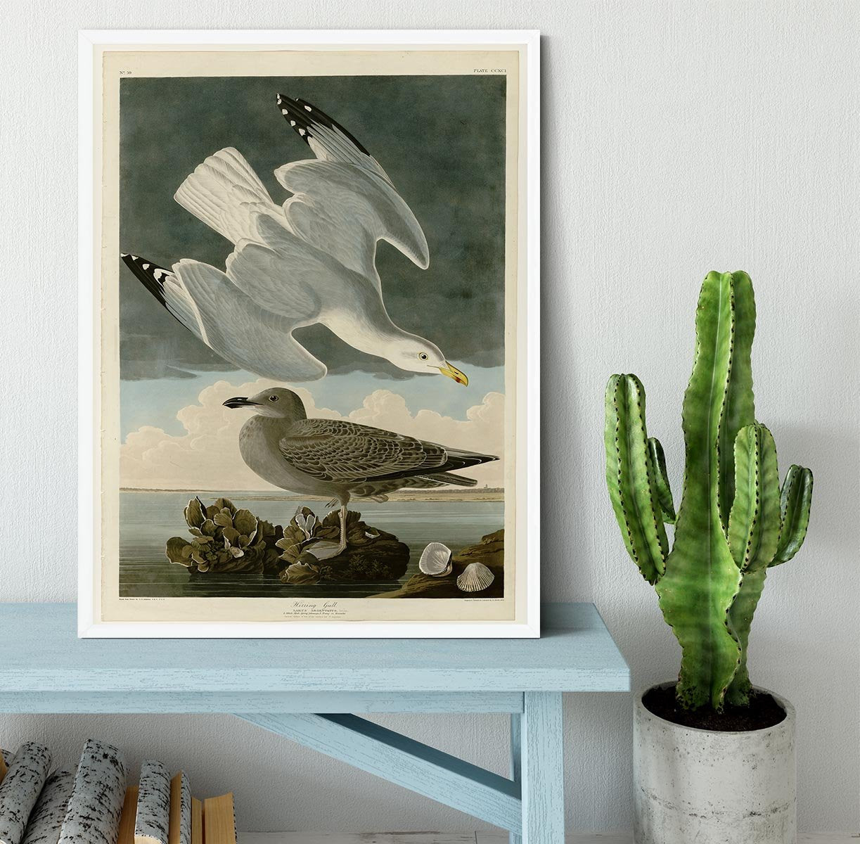 Herring Gull by Audubon Framed Print - Canvas Art Rocks -6