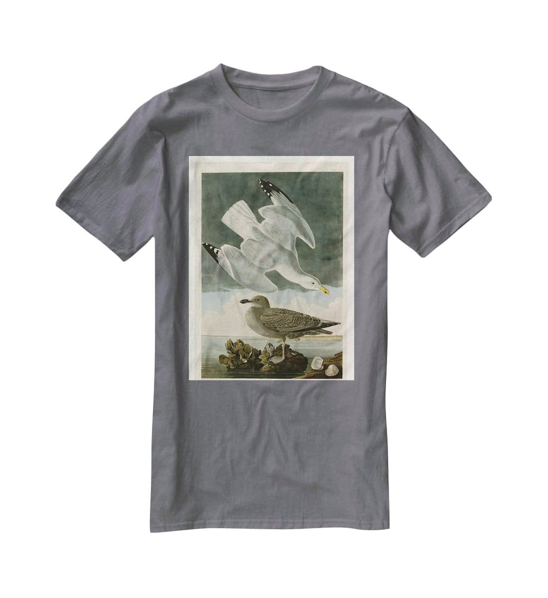 Herring Gull by Audubon T-Shirt - Canvas Art Rocks - 3