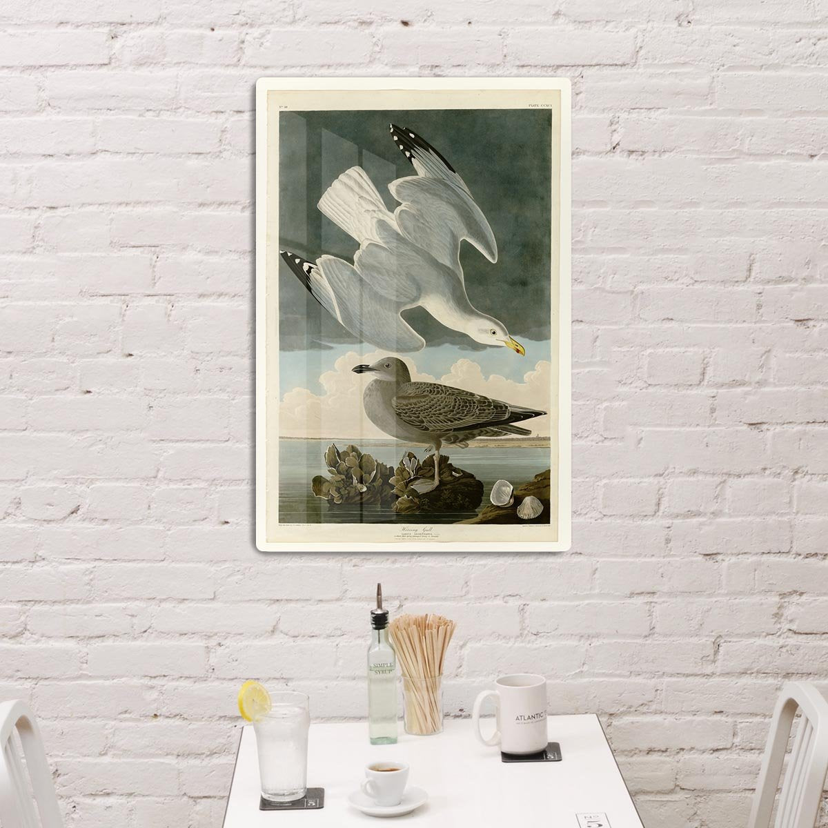 Herring Gull by Audubon HD Metal Print - Canvas Art Rocks - 3