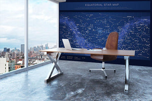 High detailed star map with names of stars contellations Wall Mural Wallpaper - Canvas Art Rocks - 3