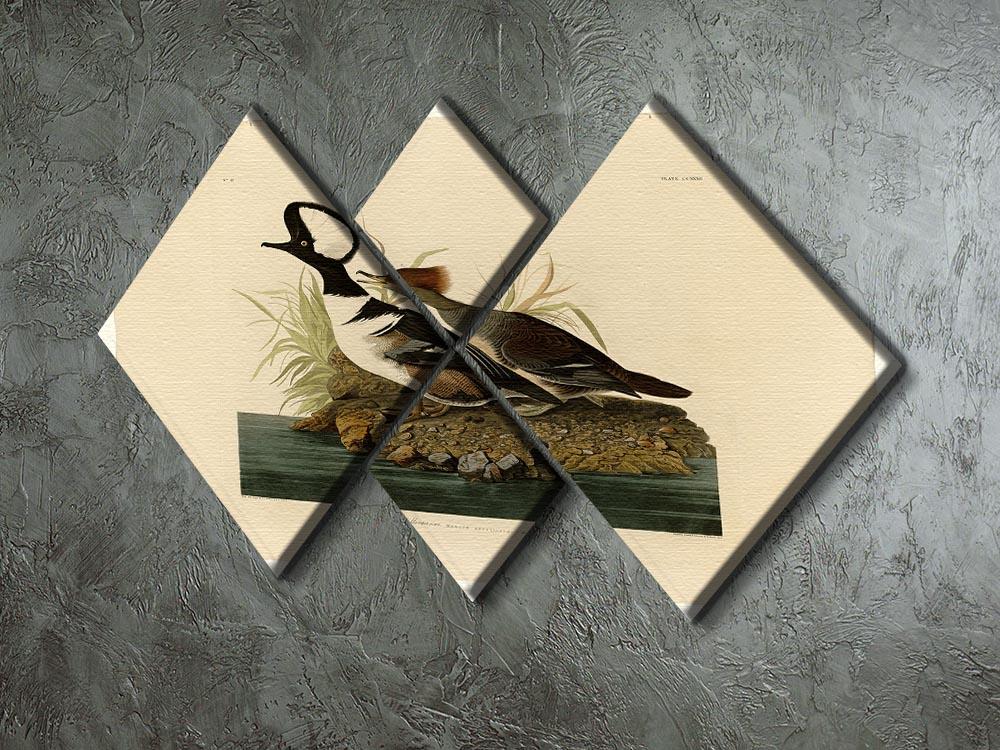Hooded Merganser by Audubon 4 Square Multi Panel Canvas - Canvas Art Rocks - 2