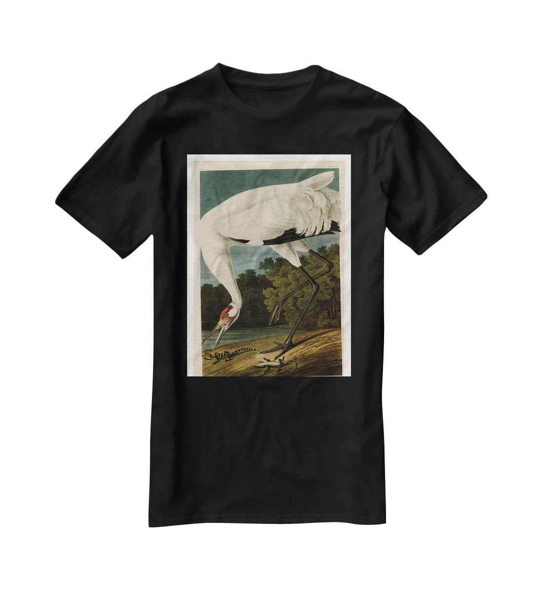 Hooping Crane by Audubon T-Shirt - Canvas Art Rocks - 1