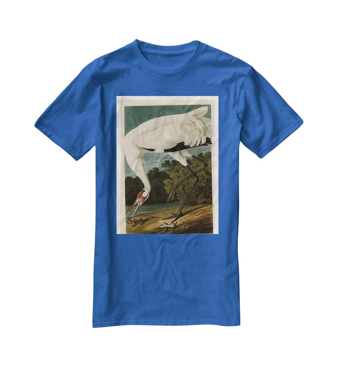 Hooping Crane by Audubon T-Shirt - Canvas Art Rocks - 2