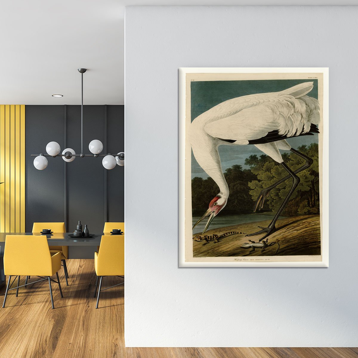 Hooping Crane by Audubon Canvas Print or Poster