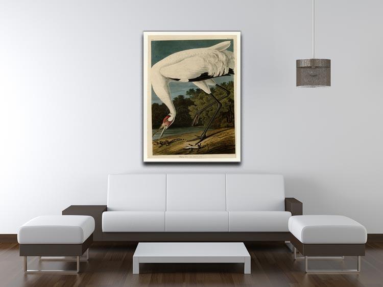 Hooping Crane by Audubon Canvas Print or Poster - Canvas Art Rocks - 4