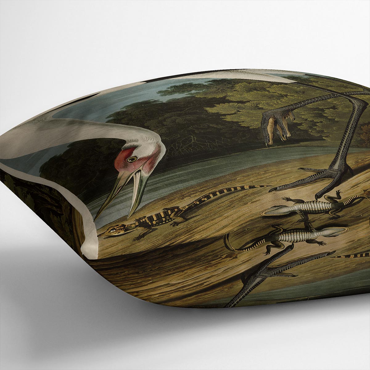 Hooping Crane by Audubon Cushion