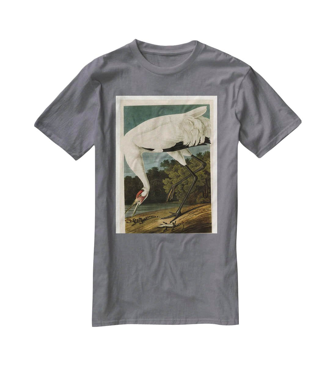 Hooping Crane by Audubon T-Shirt - Canvas Art Rocks - 3