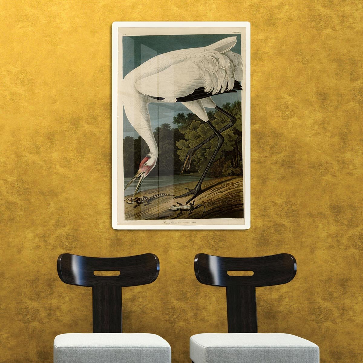 Hooping Crane by Audubon HD Metal Print - Canvas Art Rocks - 2