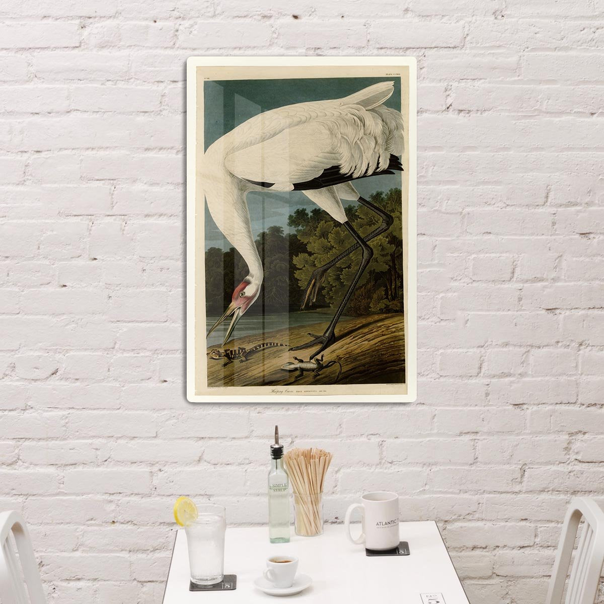 Hooping Crane by Audubon HD Metal Print - Canvas Art Rocks - 3