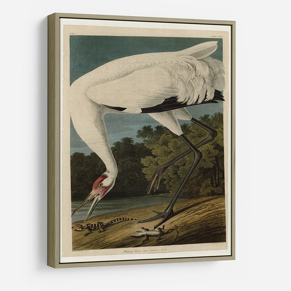 Hooping Crane by Audubon HD Metal Print - Canvas Art Rocks - 8