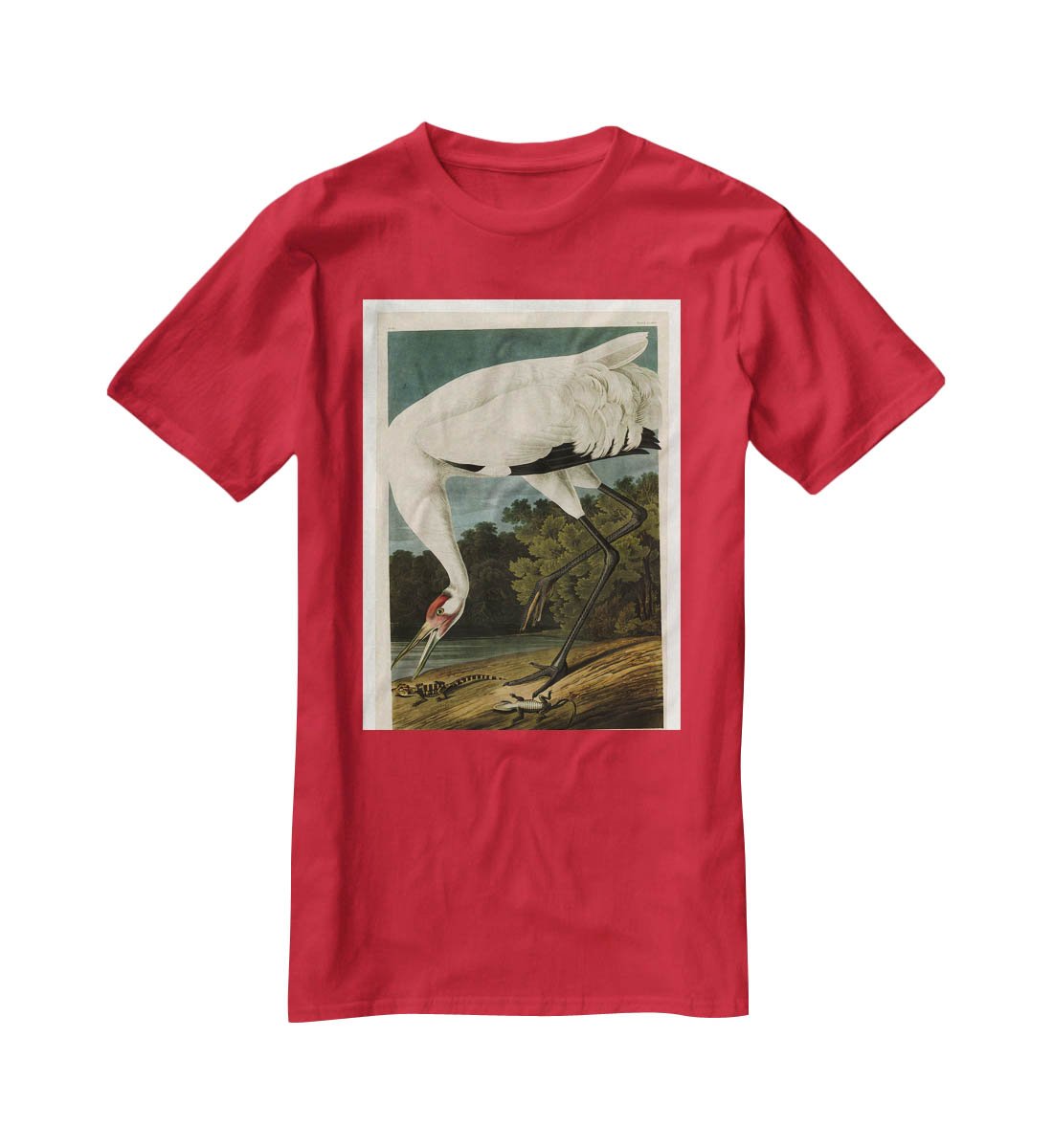 Hooping Crane by Audubon T-Shirt - Canvas Art Rocks - 4