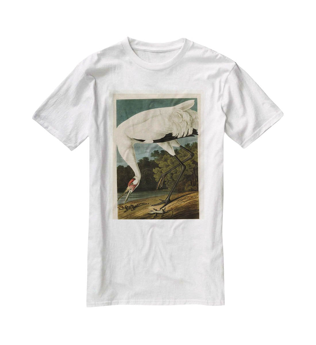 Hooping Crane by Audubon T-Shirt - Canvas Art Rocks - 5