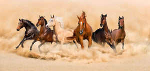Horse herd run in desert sand storm Wall Mural Wallpaper - Canvas Art Rocks - 1