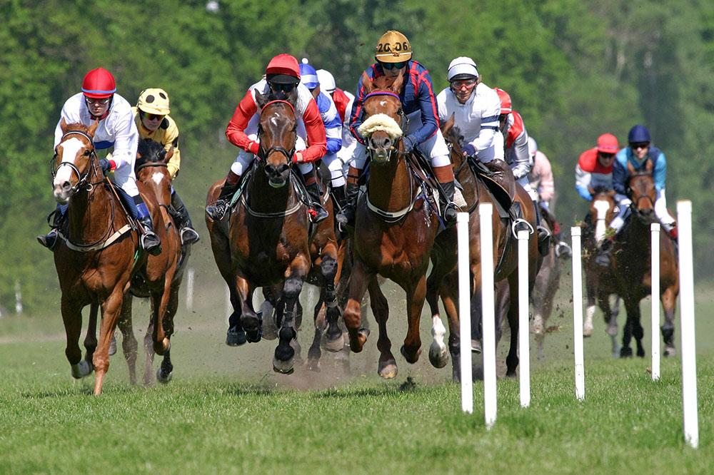 Horse racing Wall Mural Wallpaper - Canvas Art Rocks - 1