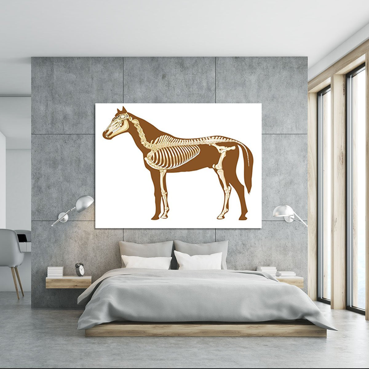 Horse skeleton section with bones x-ray Canvas Print or Poster