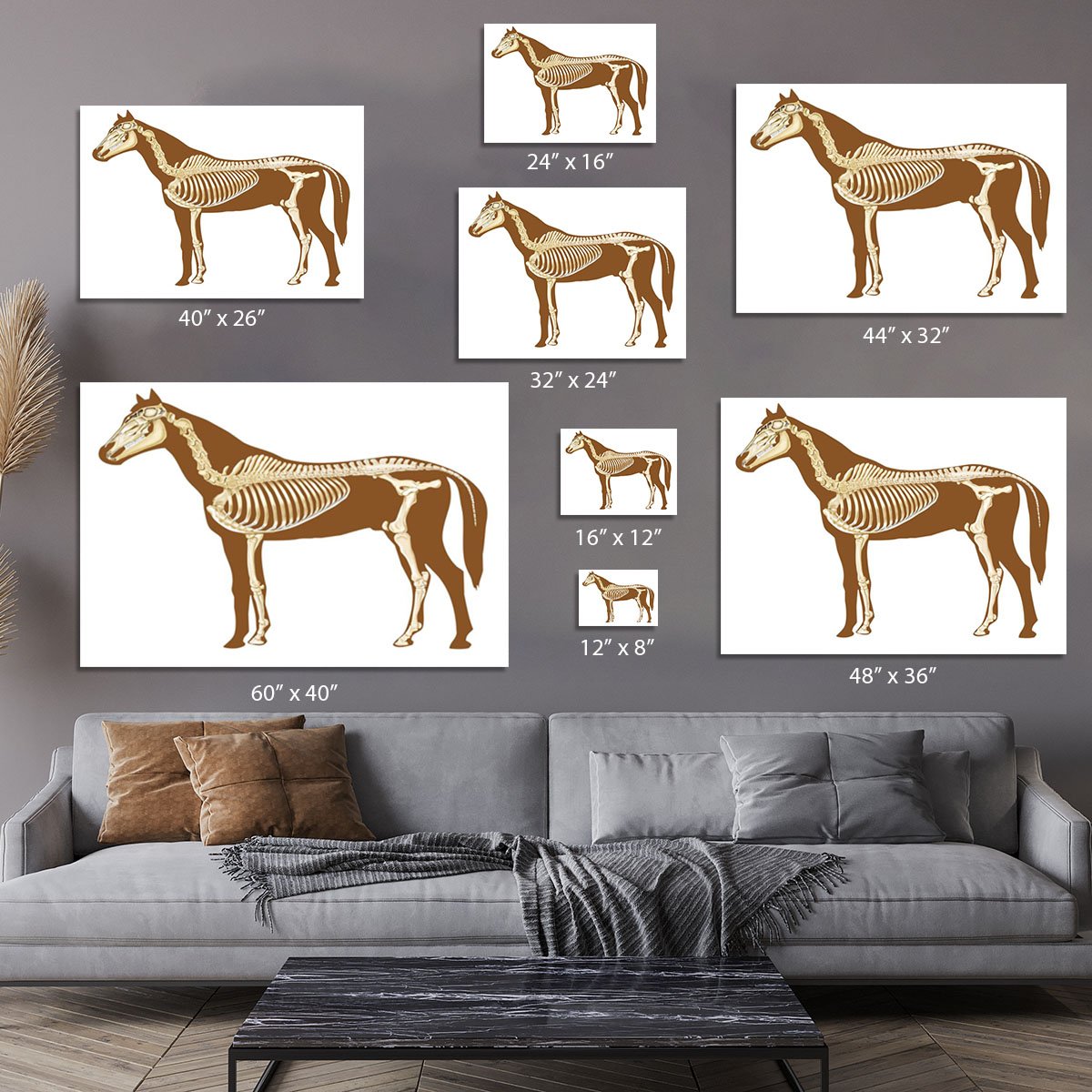Horse skeleton section with bones x-ray Canvas Print or Poster