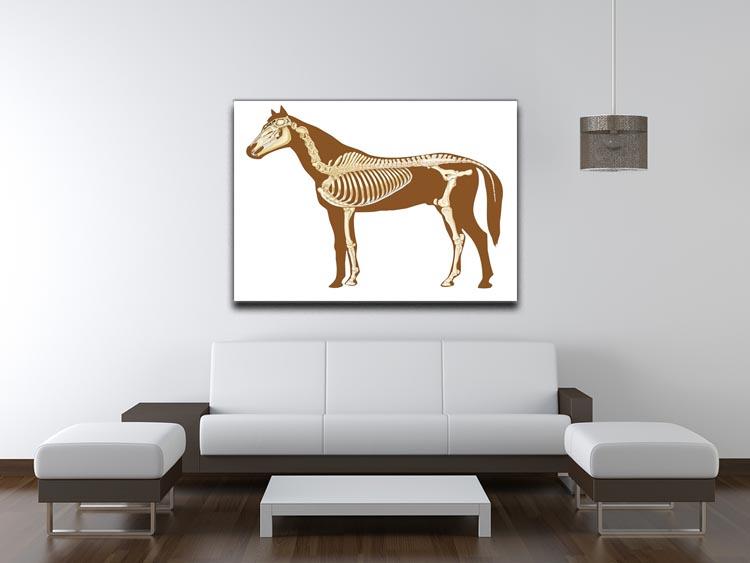 Horse skeleton section with bones x-ray Canvas Print or Poster - Canvas Art Rocks - 4