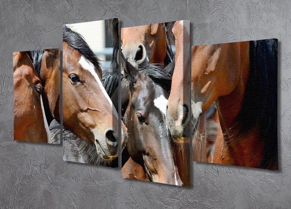Horses 4 Split Panel Canvas - Canvas Art Rocks - 2