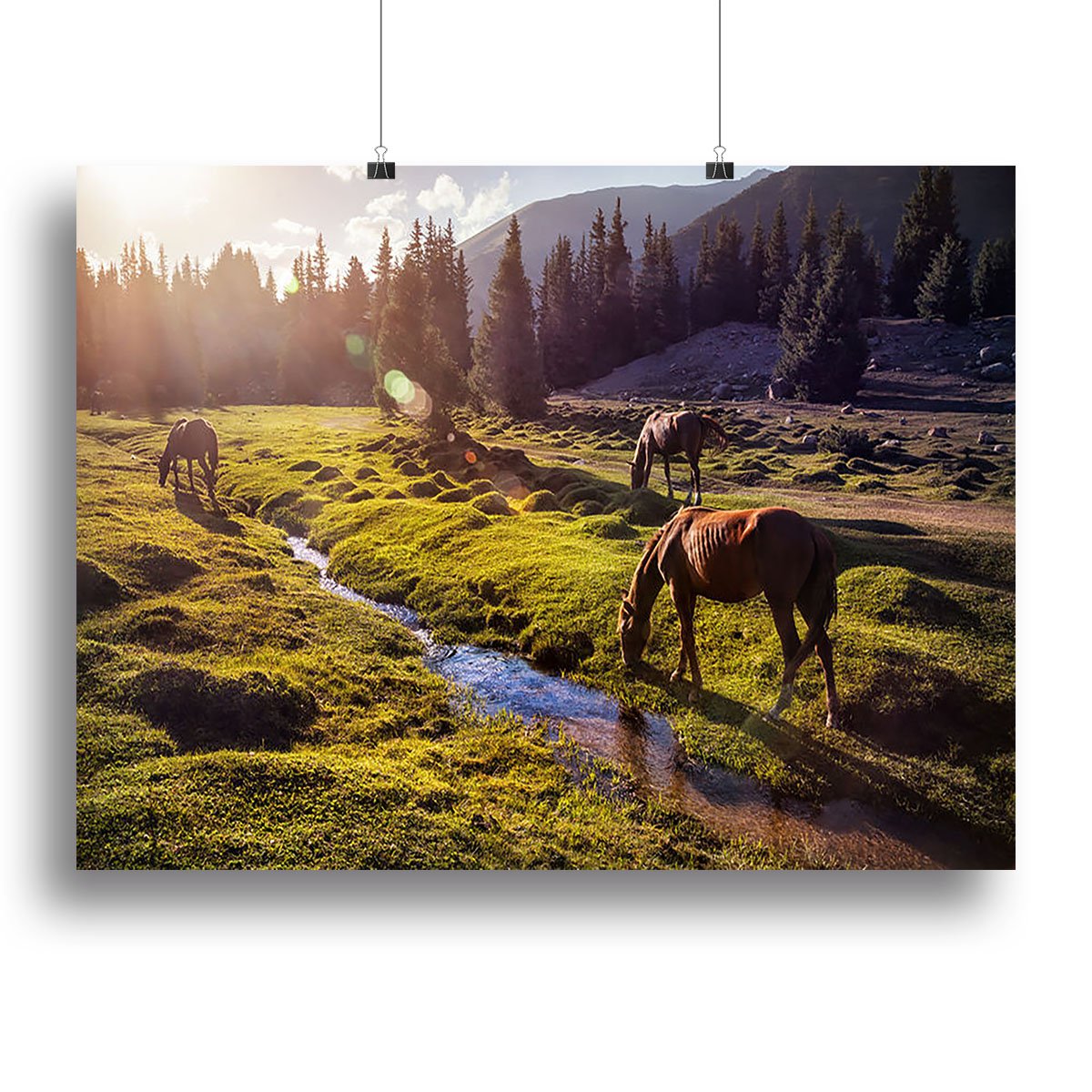 Horses in the Gregory gorge mountains Canvas Print or Poster