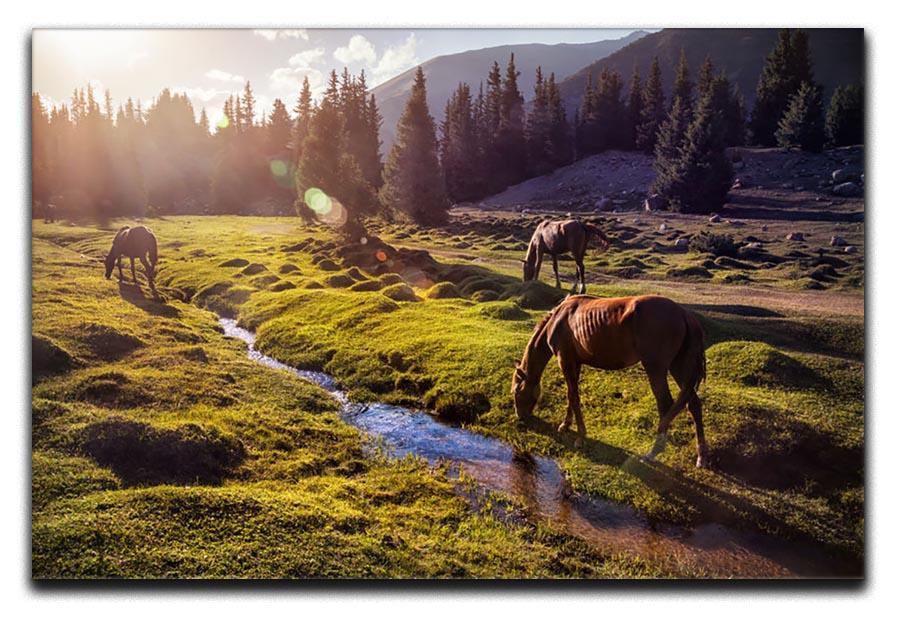 Horses in the Gregory gorge mountains Canvas Print or Poster - Canvas Art Rocks - 1