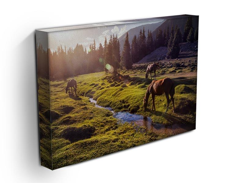 Horses in the Gregory gorge mountains Canvas Print or Poster - Canvas Art Rocks - 3