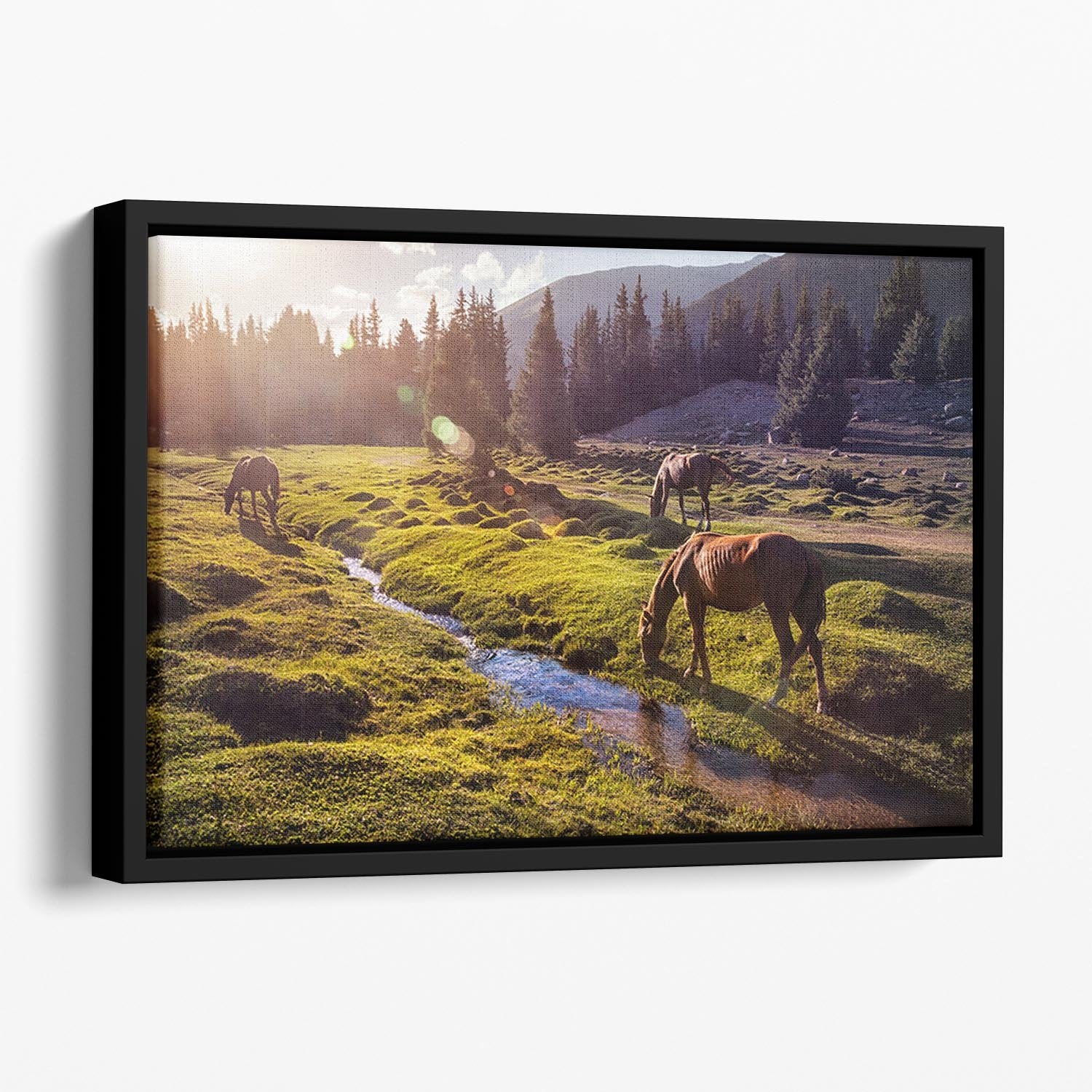 Horses in the Gregory gorge mountains Floating Framed Canvas - Canvas Art Rocks - 1