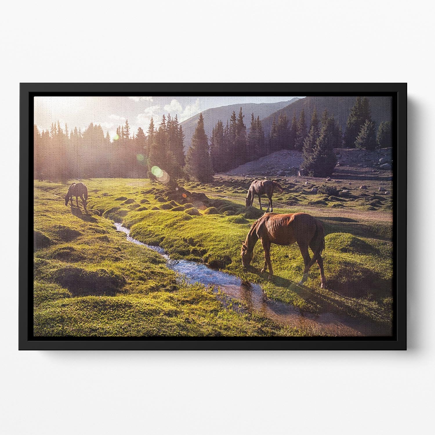 Horses in the Gregory gorge mountains Floating Framed Canvas - Canvas Art Rocks - 2