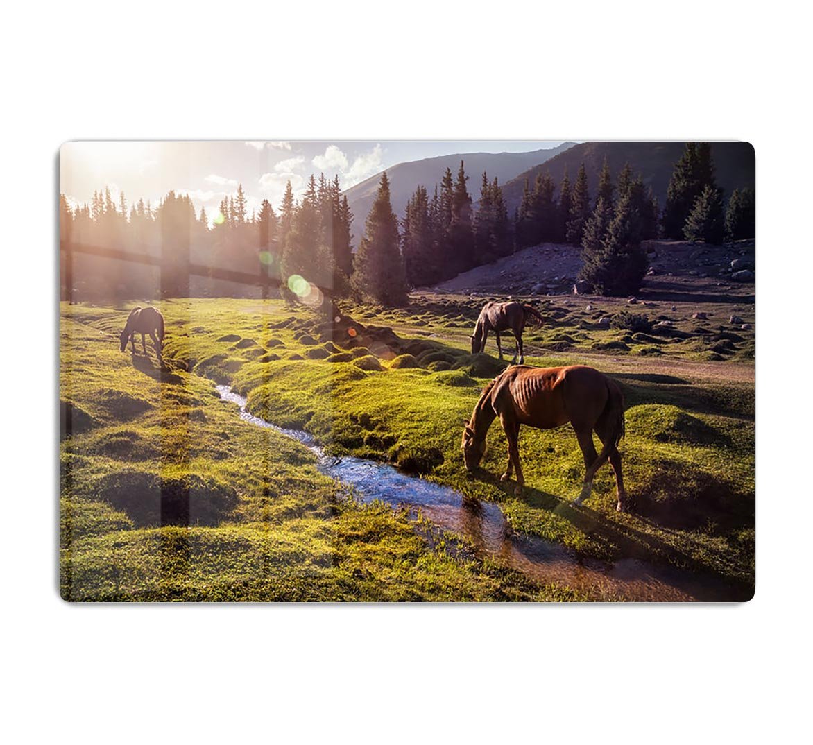 Horses in the Gregory gorge mountains HD Metal Print - Canvas Art Rocks - 1