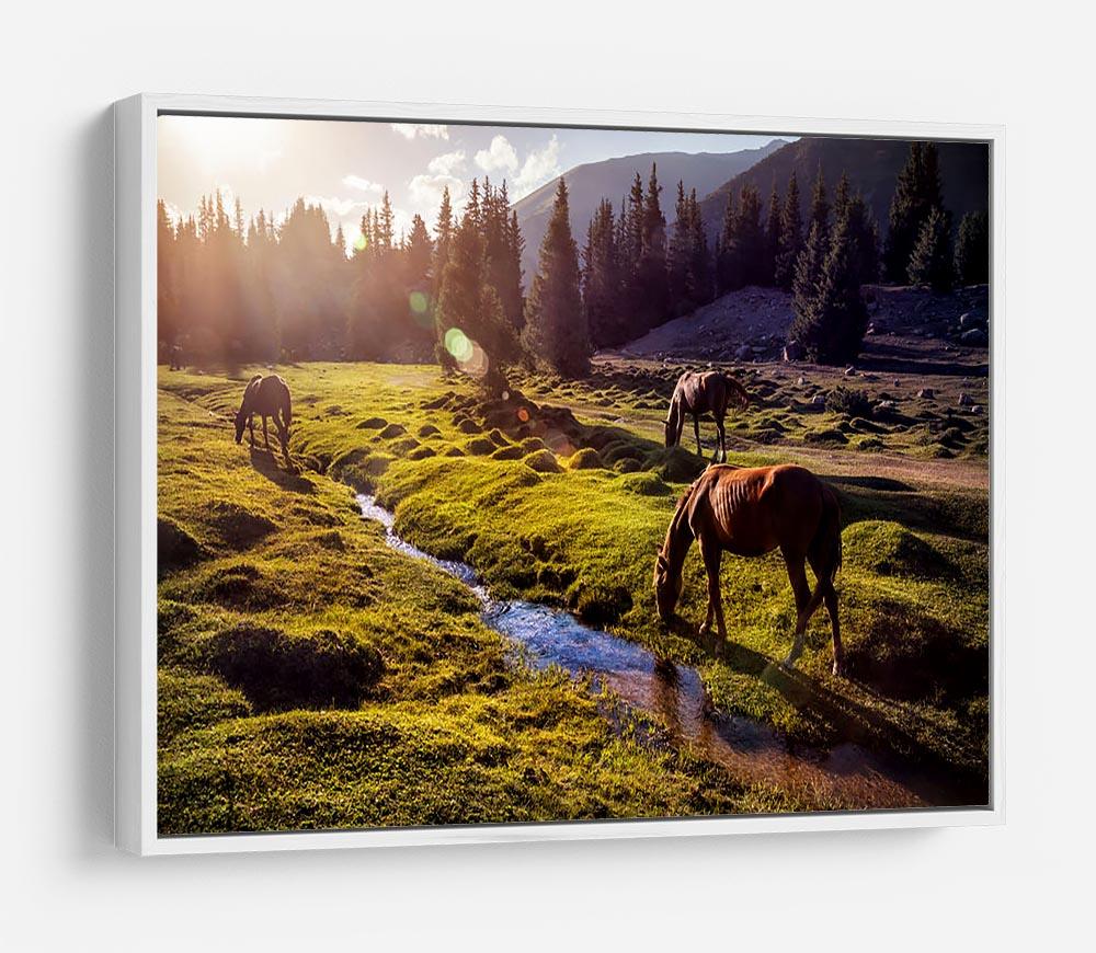 Horses in the Gregory gorge mountains HD Metal Print - Canvas Art Rocks - 7