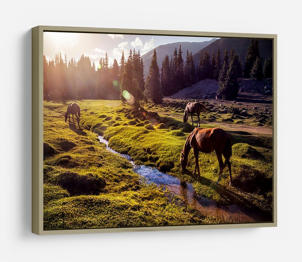 Horses in the Gregory gorge mountains HD Metal Print - Canvas Art Rocks - 8