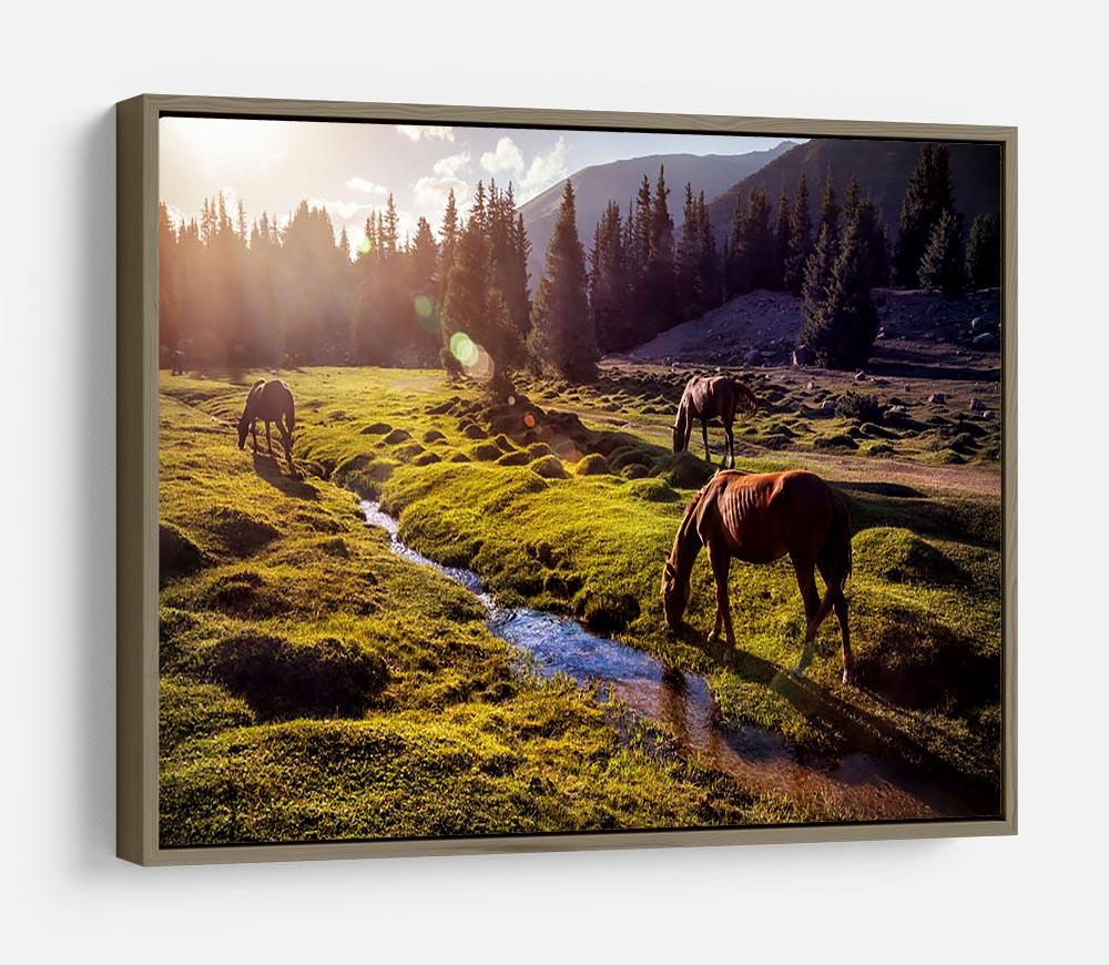 Horses in the Gregory gorge mountains HD Metal Print - Canvas Art Rocks - 10