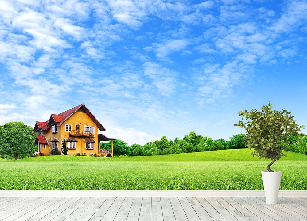 House on green field Wall Mural Wallpaper - Canvas Art Rocks - 4